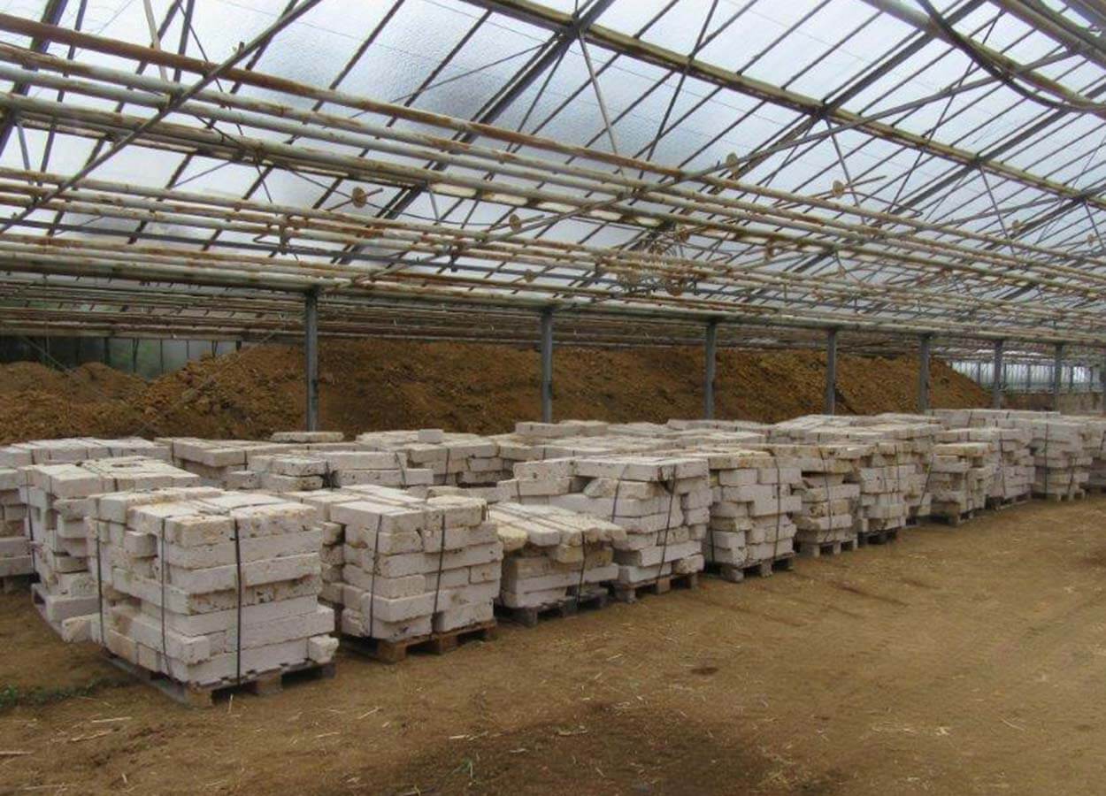 Gemeindezentrum Wendlingen