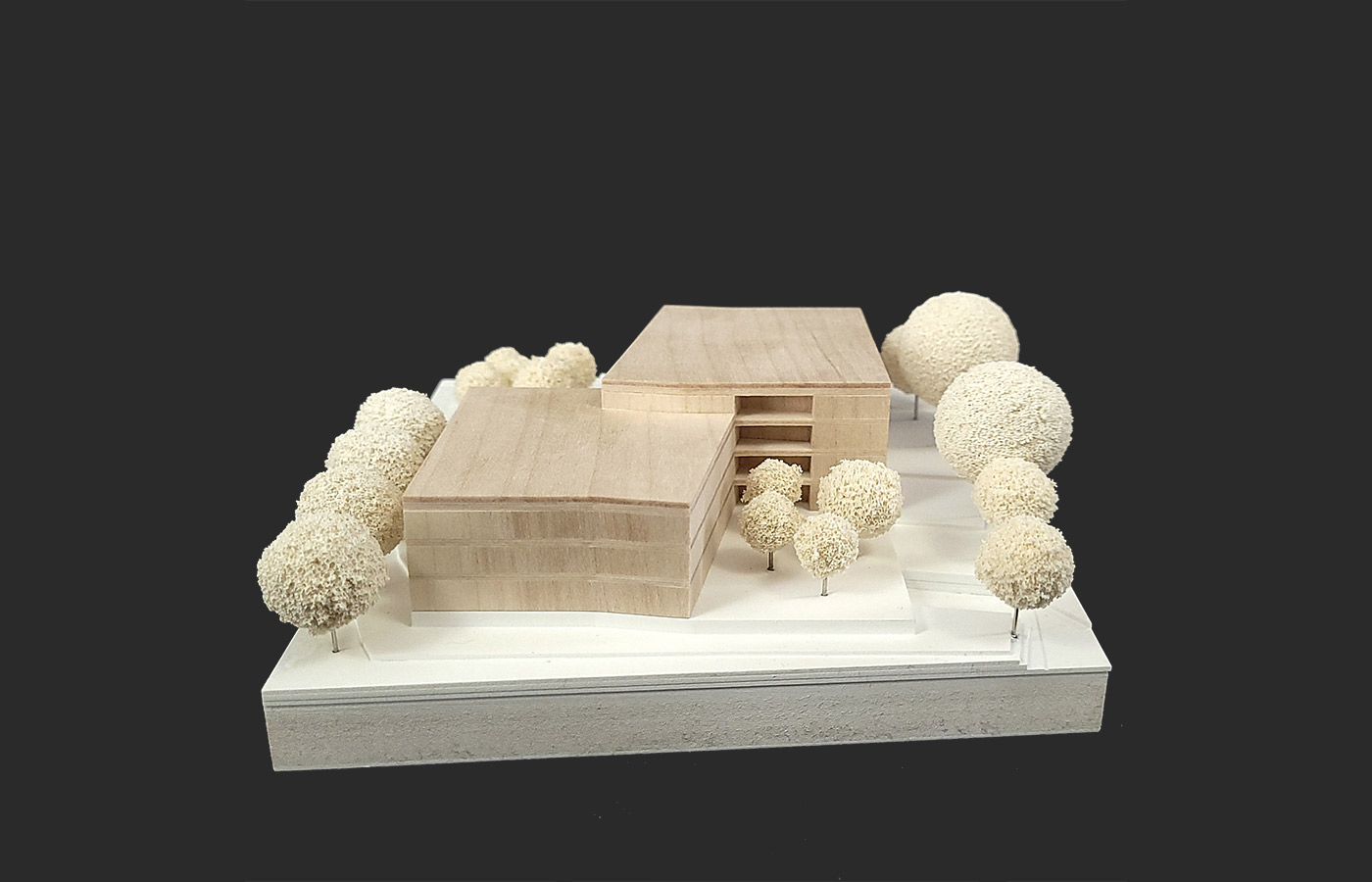 Generationen Zentrum Regensburg