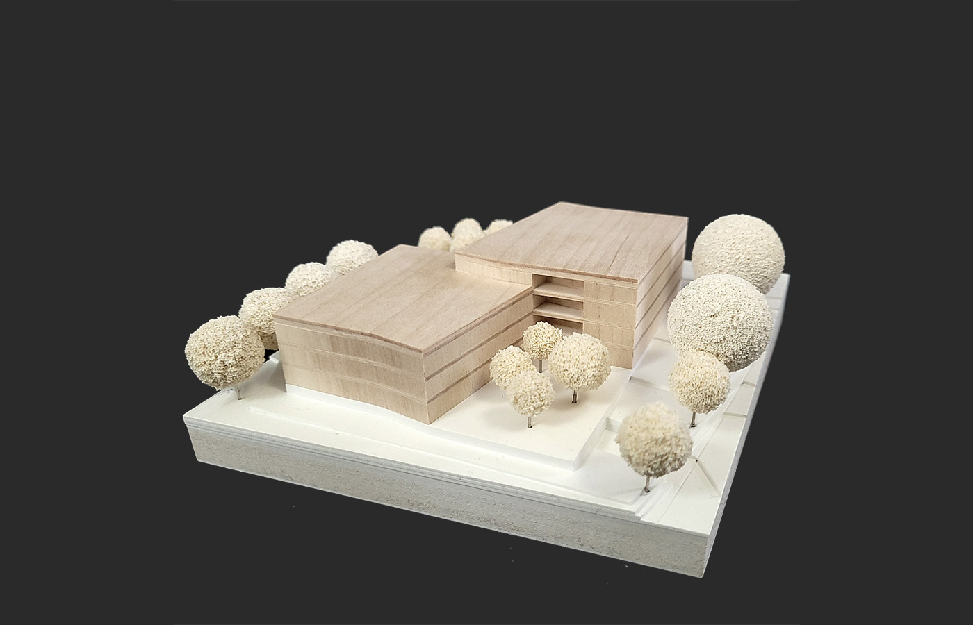 Generationen Zentrum Regensburg